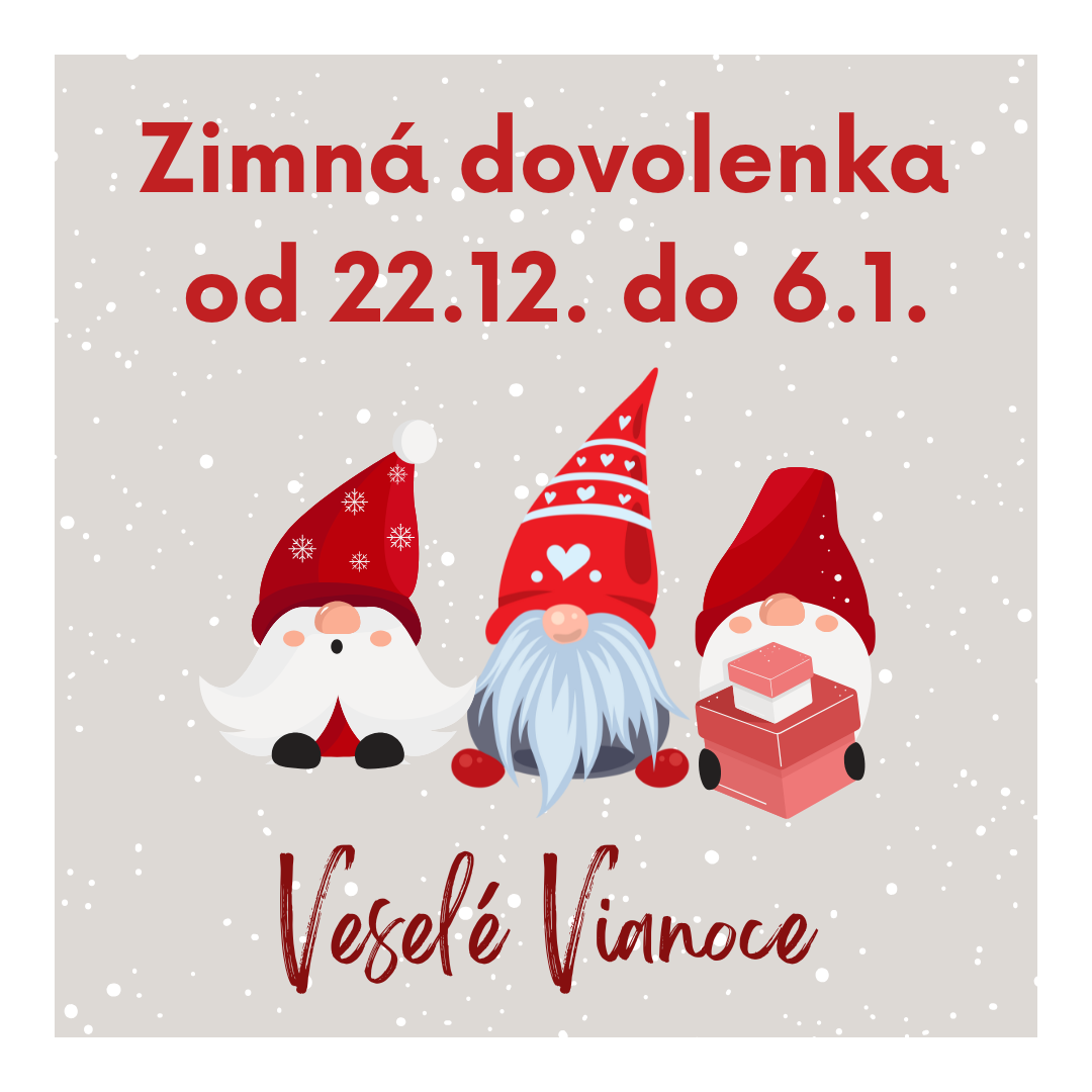 Zimná dovolenka
