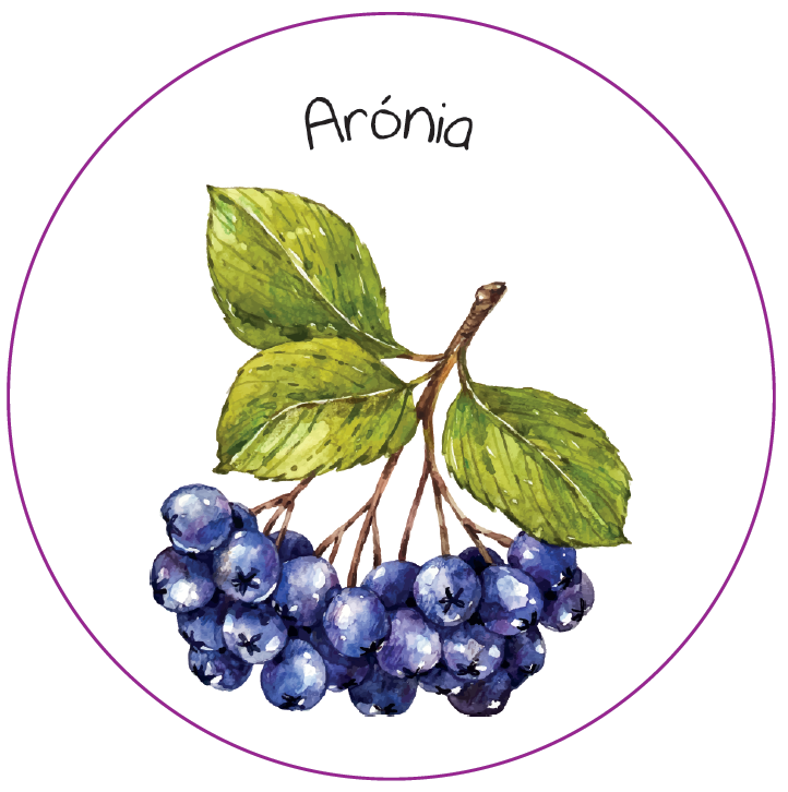 Samolepiaca etiketa - Arónia